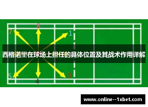 西格诺里在球场上担任的具体位置及其战术作用详解